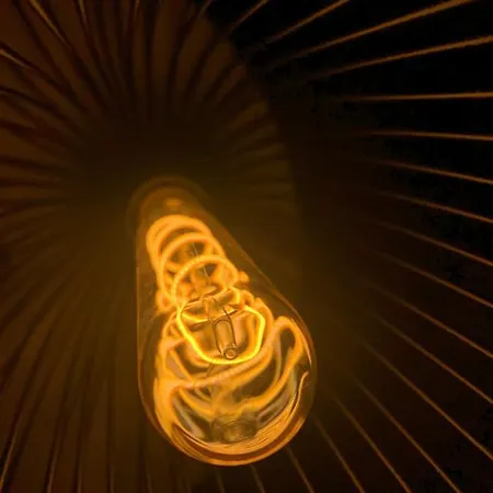 Rode Bosuil: Thuiskomen Op De Veluwe! *