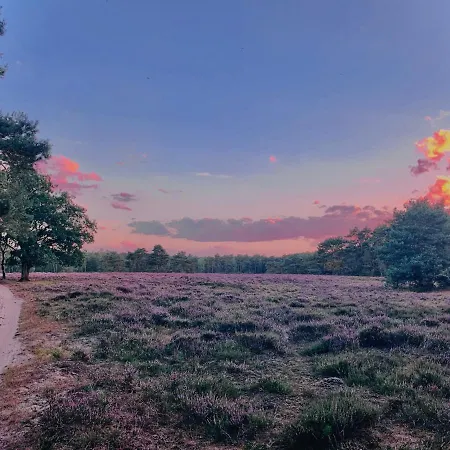 Vakantiehuis Rode Bosuil: Thuiskomen Op De Veluwe! *