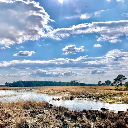 Vakantiehuis Rode Bosuil: Thuiskomen Op De Veluwe! Otterlo