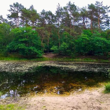 Rode Bosuil: Thuiskomen Op De Veluwe!