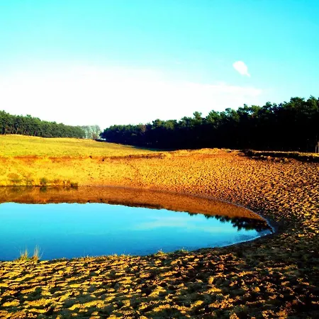 Rode Bosuil: Thuiskomen Op De Veluwe! Vakantiehuis Otterlo