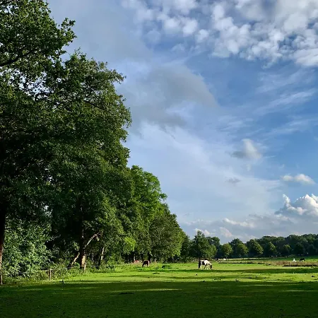 Rode Bosuil: Thuiskomen Op De Veluwe! 別荘 *