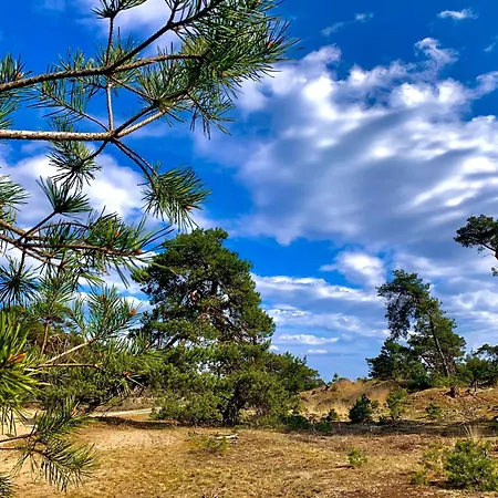 Rode Bosuil: Thuiskomen Op De Veluwe! Ferienhaus *