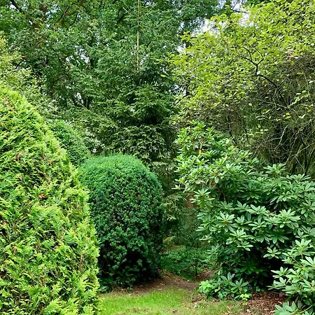 Rode Bosuil: Thuiskomen Op De Veluwe! オッテルロ