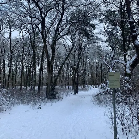 Rode Bosuil: Thuiskomen Op De Veluwe! Otterlo
