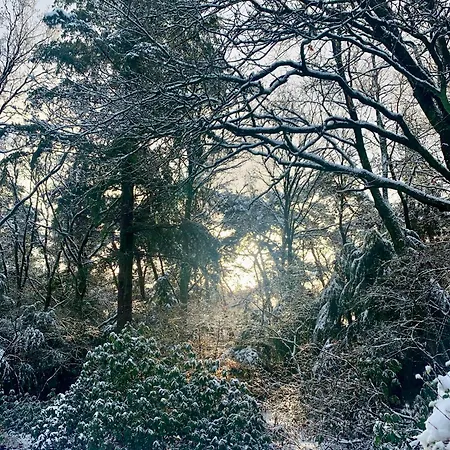 Semesterbostad Rode Bosuil: Thuiskomen Op De Veluwe! Otterlo