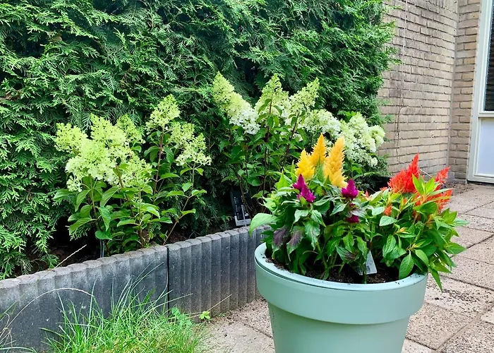Semesterbostad Rode Bosuil: Thuiskomen Op De Veluwe!