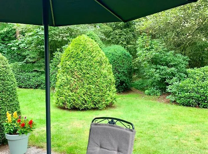 Rode Bosuil: Thuiskomen Op De Veluwe! *