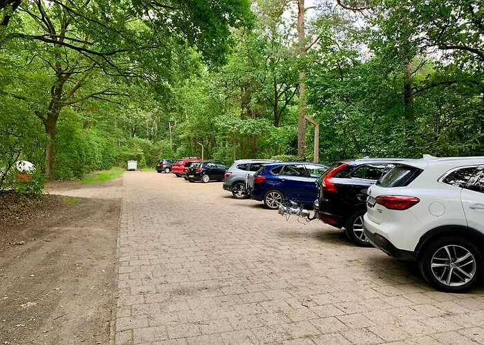 Rode Bosuil: Thuiskomen Op De Veluwe! Vakantiehuis *