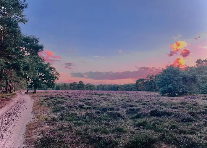 Vakantiehuis Rode Bosuil: Thuiskomen Op De Veluwe! *