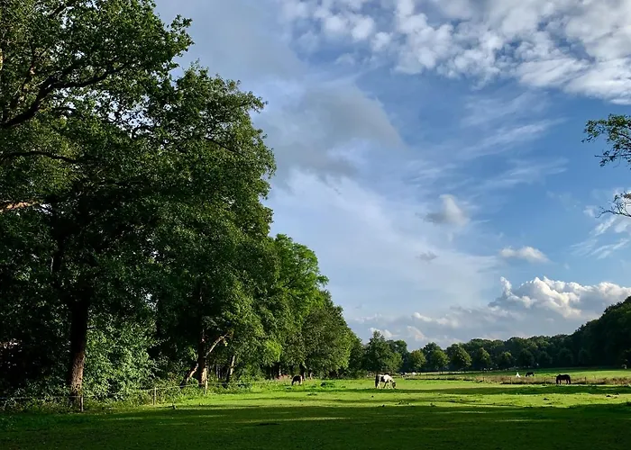 Rode Bosuil: Thuiskomen Op De Veluwe! Vakantiehuis *