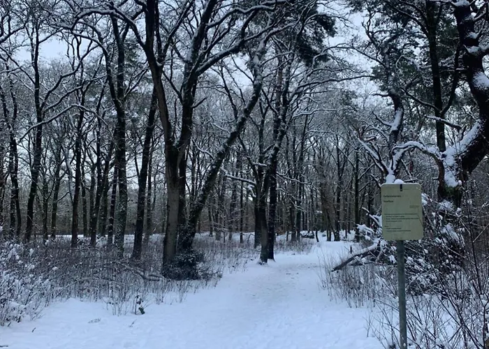 Rode Bosuil: Thuiskomen Op De Veluwe! Otterlo
