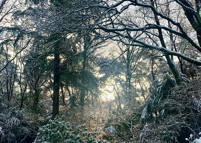 Vakantiehuis Rode Bosuil: Thuiskomen Op De Veluwe! Otterlo