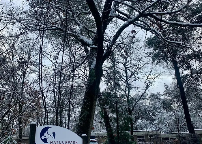 Rode Bosuil: Thuiskomen Op De Veluwe!