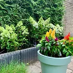 Casa vacanze Rode Bosuil: Thuiskomen Op De Veluwe!