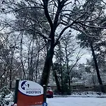 Rode Bosuil: Thuiskomen Op De Veluwe!