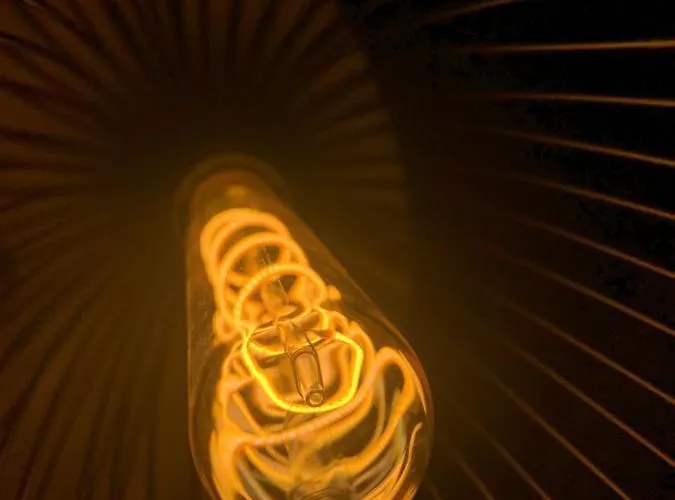 Rode Bosuil: Thuiskomen Op De Veluwe! *