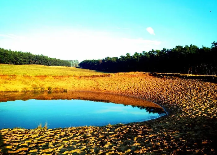 Rode Bosuil: Thuiskomen Op De Veluwe! Ferienhaus Otterlo