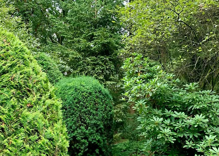 Rode Bosuil: Thuiskomen Op De Veluwe! Otterlo